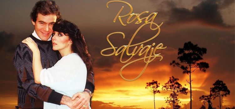 Дикая Роза / Rosa Salvaje Все серии (Мексика, 1987) мексиканский сериал на русском языке