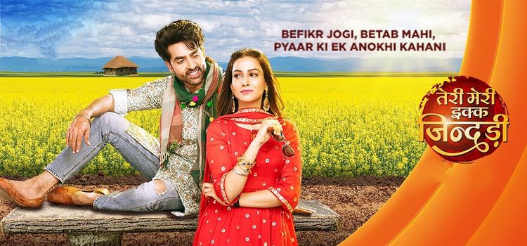 Одна Жизнь на Двоих / Teri Meri Ik Jindri Все серии (Индия, 2021) индийский сериал на русском языке