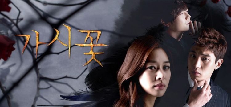 Колючий цветок / Thorn Flower Все серии (Южная Корея, 2013) азиатский сериал на русском языке