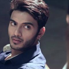 Vikram_Singh_Chauhan_15