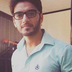 Vikram_Singh_Chauhan_2