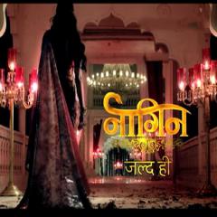 Naagin_11