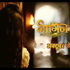 Naagin_13