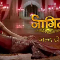 Naagin_4