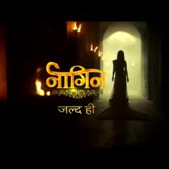 Naagin_9