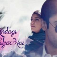 Zindagi_Gulzar_Hai_19