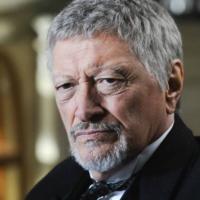 I segreti di Borgo Larici_21