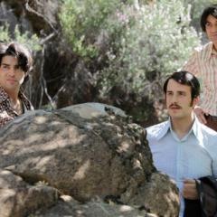 Кислые яблоки