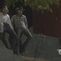 Camelia, La Texana_10