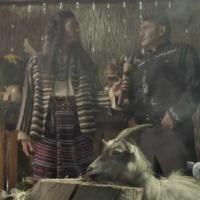 Camelia, La Texana_9