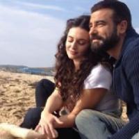 Оливковая вершина _12