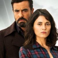 Оливковая вершина _14