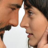 Оливковая вершина _15