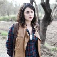 Оливковая вершина _1