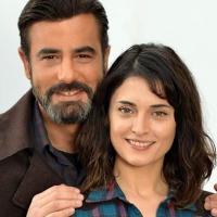 Оливковая вершина _3