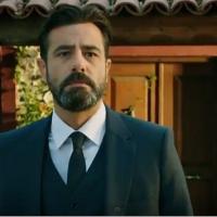 Оливковая вершина _5