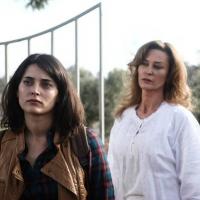 Оливковая вершина _6