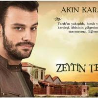 Оливковая вершина _7