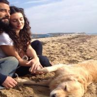 Оливковая вершина _8