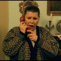 Узоры из роз_15