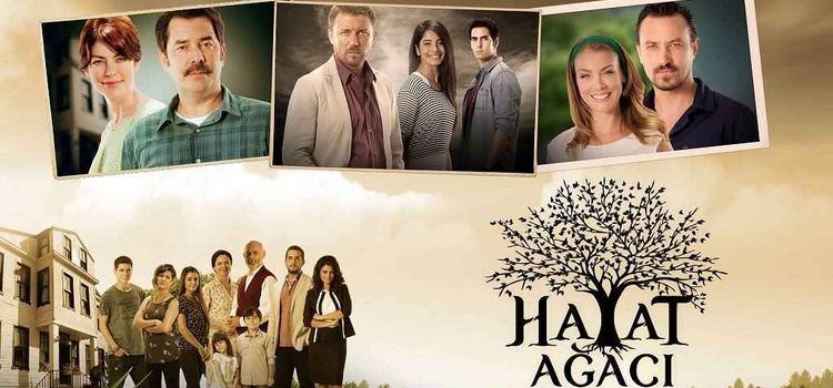 Дерево жизни / Hayat Agaci Все серии (Турция, 2014) турецкий сериал на русском языке