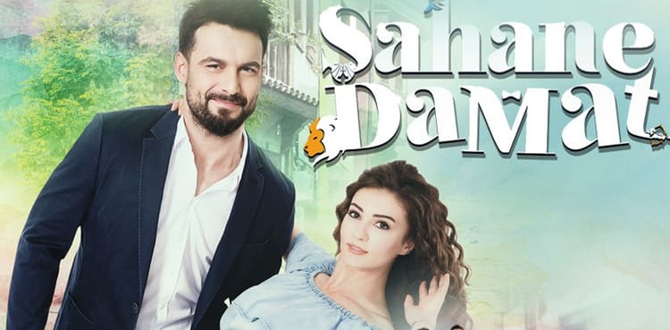 Замечательный зять турецкий сериал