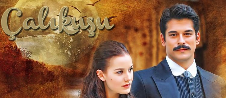 Королёк - птичка певчая турецкий сериал