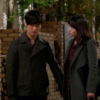 Cheongdam dog Alice (7)