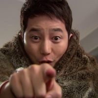 Cheongdam dog Alice (8)