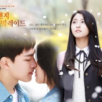 Orange_Marmalade (3)