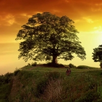 The Great Seer  (3)