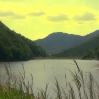 The Vineyard Man (7)