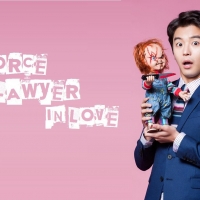 Divorce Lawyer in Love (2)