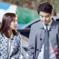 Divorce Lawyer in Love (7)