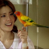 The King 2 hearts (5)