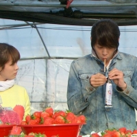 The Rooftop Prince (8)