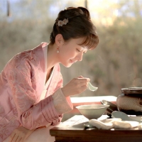 The Story of Minglan1