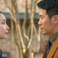 The Strange Housekeeper (6)