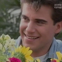 Girasoles para Lucia5