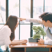 Bai Mai Tee Plid Plew4