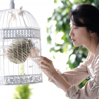 Love Affairs in the Afternoon1