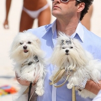 Marcelo Serrado (13)