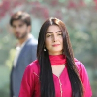 Mohabbat Tum Se Nafrat Hai5