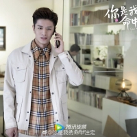 You Are My Destiny (3)