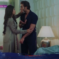 Mil Ke Bhi Hum Na Mile6