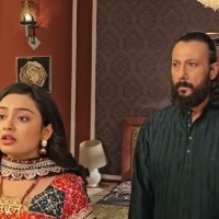 Dilwali Dulha Le Jayegi2