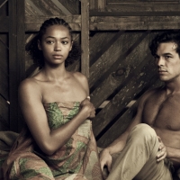 Palmeras_en_la nieve (5)