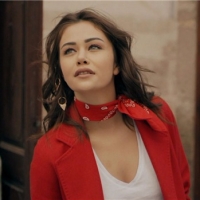 Kirlangic_Firtinasi (10)