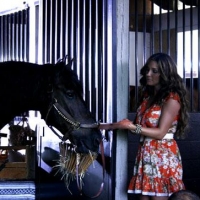 El Fantasma de Elena8