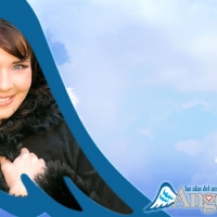 Angel, las alas del amor4